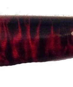 Premium Knife Supply Knife Scales - Wood - Curly Maple - Pair - Great For Double Dyeing