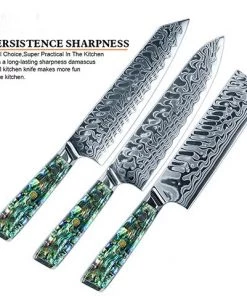 Buy Out Monthly Sales *WW Dojo Gyuto Chef Knife - Complete Knife With Abalone In Resin Handles And Mosaic Pin - AUS-10 Damascus Steel