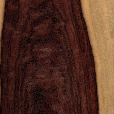 WoodWorld Of Texas Katlox (Mexican Ebony) 4/4 Lumber 2 WoodWorld Of Texas Katlox (Mexican Ebony) 4/4 Lumber