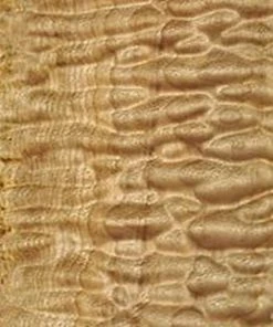 WoodWorld Of Texas Lumber Maple, Quilted - 4/4,& 8/4 (when Available)