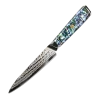 Buy Out *WW Dojo Utility Knife - Complete Knife With Abalone In Resin Handles And Mosaic Pin - AUS-10 Damascus Steel