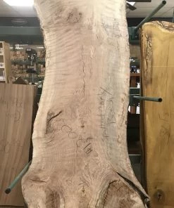 World Timber Spalted Curly Beech Natural Edge Slab 79" Long 2.25" Max Thickness 28 - 36" Wide Slabs