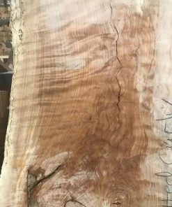 World Timber Spalted Curly Beech Natural Edge Slab 79" Long 2.25" Max Thickness 28 - 36" Wide Slabs
