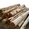 Cedar Creek Cedar Log Posts Special Order