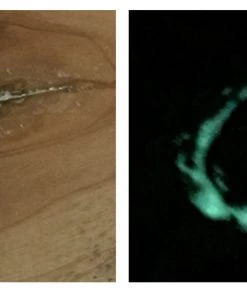 WoodWorld Of Texas Jimmy Clewes Glow Powders (Glow In The Dark Fill Material.)