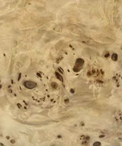 Sauers & Company Veneer - Mappa Burl Veneer Pack